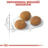 Royal Canin Exigent Aromatic Attraction karma sucha dla kotów dorosłych, wybrednych, kierujących się zapachem 10kg