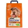 Purina Dog Chow Mature Adult Jagnięcina 2,5kg