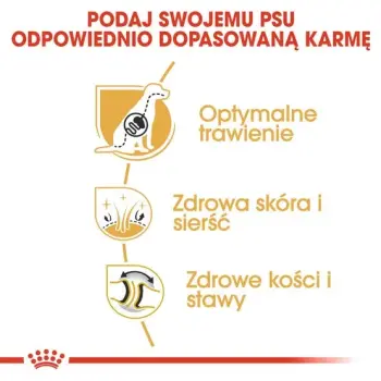 Royal Canin German Shepherd Adult karma sucha dla psów dorosłych rasy owczarek niemiecki 11kg