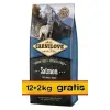 Carnilove Dog Salmon Adult - łosoś 14kg (12+2kg gratis)