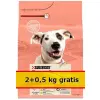 Purina Dog Chow Adult Sensitive Łosoś 2,5kg (2+0,5kg gratis)