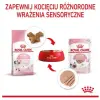 Royal Canin Kitten pasztet (loaf) karma mokra dla kociąt do 12 miesiąca życia saszetka 85g