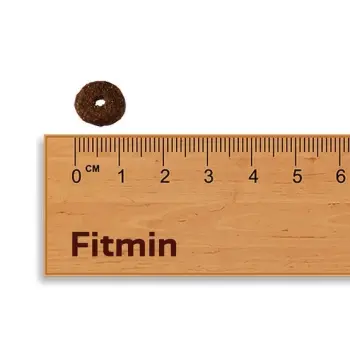 Fitmin Dog Mini Senior 2,5kg