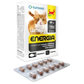 Wita-Vet Kot Energia Junior + Adult 60tabl