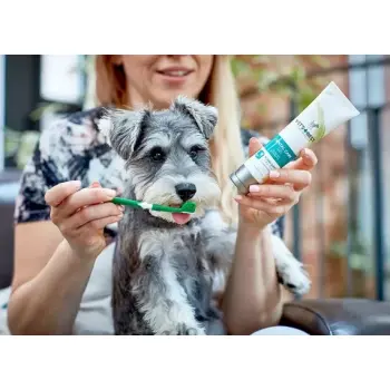 Vet's Best Dental żel + szczoteczka zestaw Adult