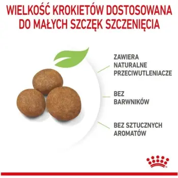 Royal Canin Maxi Puppy karma sucha dla szczeniąt, od 2 do 15 miesiąca życia, ras dużych 1kg