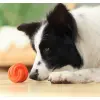 PetDreamHouse Zabawka gumowa Geo-Hex błękitna