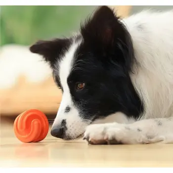 PetDreamHouse Zabawka gumowa Geo-Hex błękitna