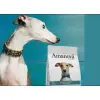 Amanova Dog Adult Exigent Iberian Pork - wieprzowina 2kg