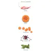 Amanova Dog Adult Mini Digestive Divine Rabbit - królik 2kg