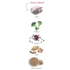Amanova Dog Adult Obesity Turkey Delight - indyk 10kg