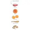 Amanova Dog Adult Sensitive Delicious Lamb - jagnięcina 2kg