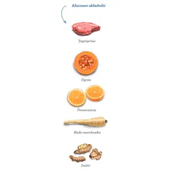 Amanova Dog Adult Sensitive Delicious Lamb - jagnięcina 2kg