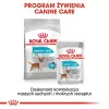 Royal Canin Mini Urinary Care karma sucha dla psów dorosłych, ras małych, ochrona dolnych dróg moczowych 3kg