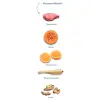 Amanova Dog Adult Mini Sensitive Delicious Lamb - jagnięcina 800g