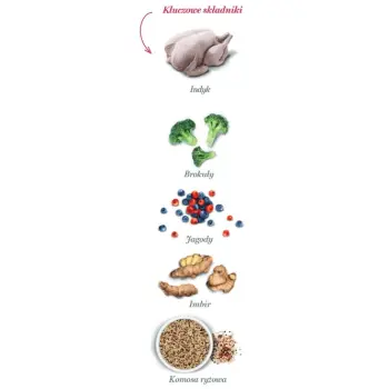 Amanova Dog Adult Mini Obesity Turkey Delight - indyk 7kg