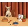 Amanova Dog Adult Exquisite Chicken - kurczak saszetka 300g [P03]