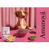 Amanova Dog Adult Tasty Salmon & Turkey - łosoś i indyk saszetka 300g [P06]