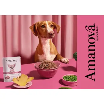 Amanova Dog Adult Tasty Salmon & Turkey - łosoś i indyk saszetka 300g [P06]