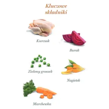 Amanova Dog Puppy Exquisite Chicken - kurczak saszetka 100g [P08]