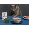 Amanova Cat Tasty Salmon & Turkey - łosoś i indyk saszetka 85g [P11]