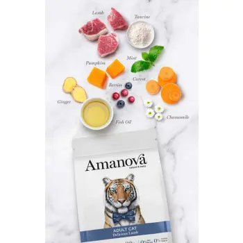 Amanova Cat Adult Delicious Lamb - jagnięcina 1,5kg