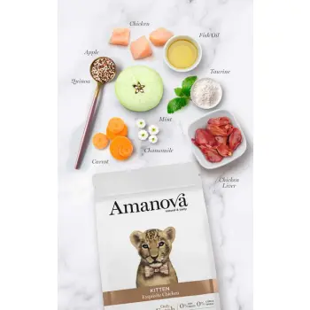 Amanova Cat Kitten Exquisite Chicken - kurczak 1,5kg