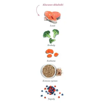 Amanova Cat Sterilised Salmon Deluxe - łosoś 300g