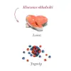 Amanova Dog Salmon Bites - łosoś 100g