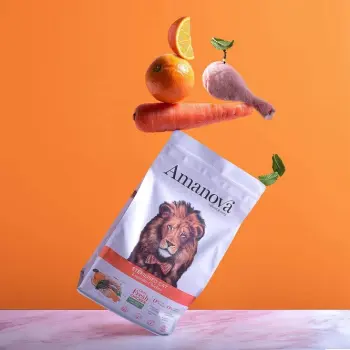 Amanova Cat Sterilised Exquisite Chicken - kurczak 6kg