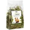 Alegia Natural Zielone ziółka dla kawii domowej 100g
