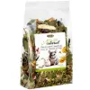 Alegia Natural Zioła dla szynszyli i koszatniczki 100g