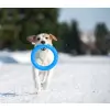 Collar PitchDog17 Pierścień do aportowania 17cm niebieski