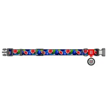 Collar WauDog Nylon Obroża nylonowa z QR-paszportem, plastikowy fastex, wzór FIGA, M 20mm/28-40cm
