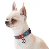 Collar WauDog Nylon Obroża nylonowa z QR-paszportem, plastikowy fastex, wzór LATO, 25mm/33-49cm