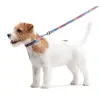 Collar WauDog Nylon Obroża nylonowa z QR-paszportem, plastikowy fastex, wzór LATO, 25mm/33-49cm