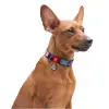Collar WauDog Nylon Obroża nylonowa z QR-paszportem, plastikowy fastex, wzór NASA21, 15mm/25-35cm