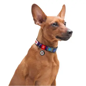 Collar WauDog Nylon Obroża nylonowa z QR-paszportem, plastikowy fastex, wzór NASA21, 15mm/25-35cm