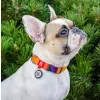 Collar WauDog Recycled Obroża nylonowa z QR-paszportem, gradient M 20mm x 28-40cm pomarańczowy