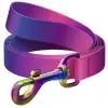Collar WauDog Recycled Smycz nylonowa, gradient M 20mm/122cm fioletowy