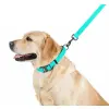 Collar WauDog Waterproof Obroża wodoodporna z QR-paszportem, akumulująca światło, plastikowy fastex, 15mm/25-35cm