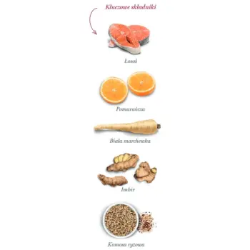 Amanova Cat Adult Salmon Deluxe - łosoś 1,5kg