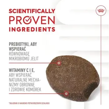 Royal Canin Immunity & Digestion Chews Puppy Supplements 100g