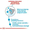 Royal Canin Medium Puppy karma sucha dla szczeniąt, od 2 do 12 miesiąca, ras średnich 3kg