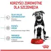 Royal Canin Maxi Puppy karma sucha dla szczeniąt, od 2 do 15 miesiąca życia, ras dużych 3kg