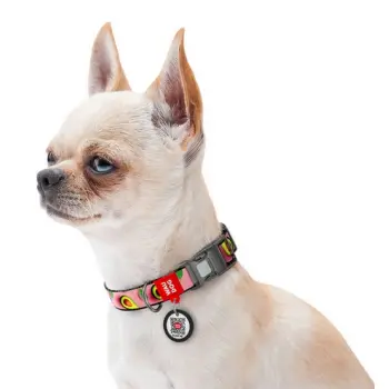 Collar WauDog Nylon Obroża nylonowa z QR-paszportem, plastikowy fastex, wzór AWOKADO NA RÓŻU, S 15mm/25-35cm