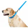 Collar Waterproof Smycz wodoodporna L-XXL 25mm/183cm niebieska