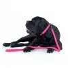 Collar Waterproof Smycz wodoodporna S 15mm/183cm różowa