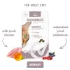 Sanabelle Urinary 2kg