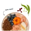 Sanabelle Adult Forelle - z pstrągiem 400g